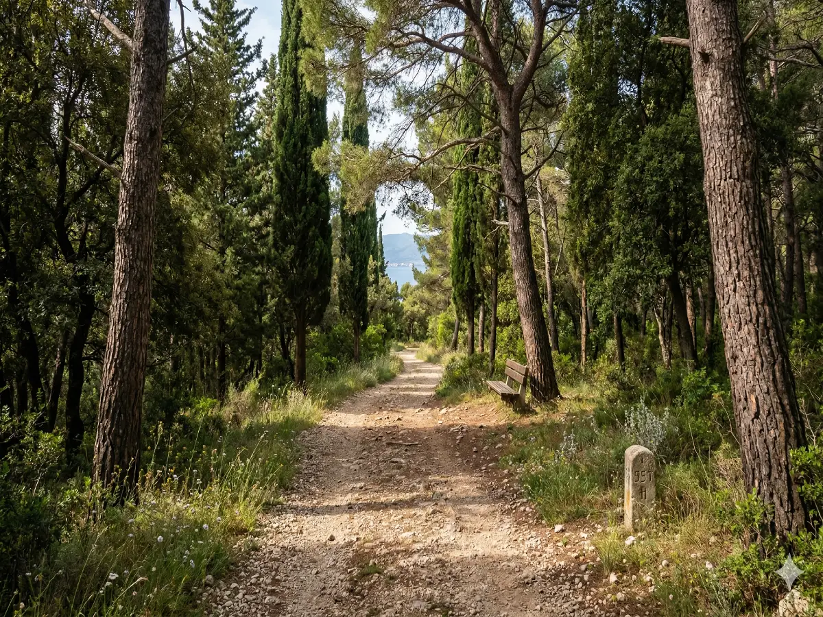 Marjan Hill in Split Croatia, forest view