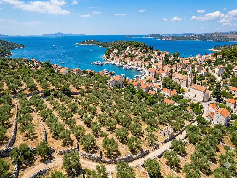 Šolta — olive grove & village